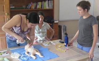 IMG_7123 IMG_7123